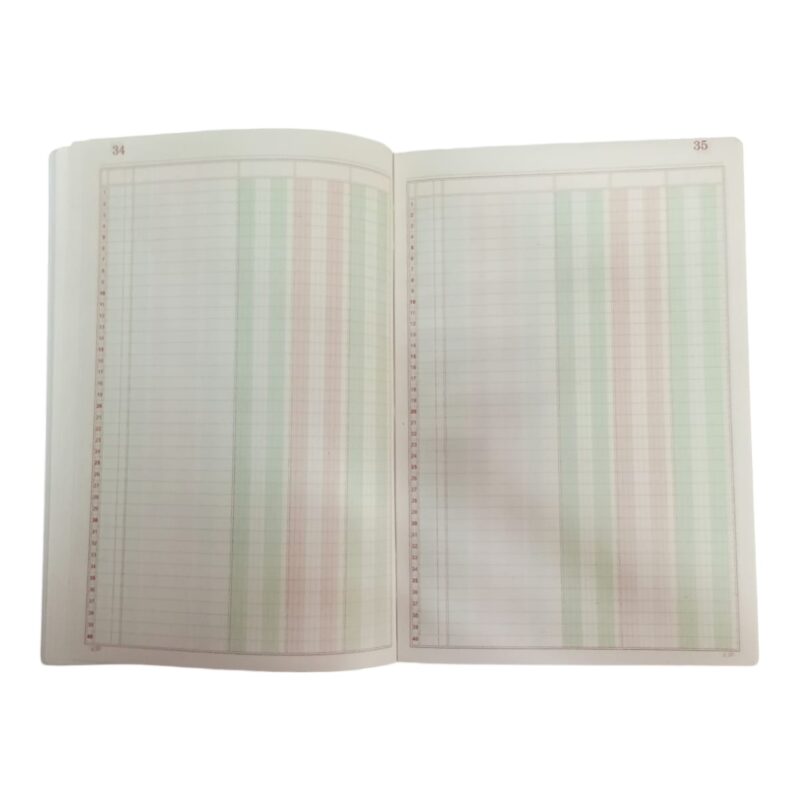 Libro 100 Folios Contabilidad Pasta Dura 30*21 Cm - Imagen 2